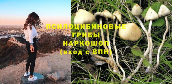 первитин Алексин