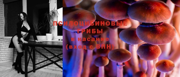не бодяженный Алзамай