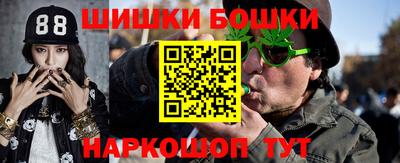ешки Камень-на-Оби