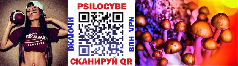 Псилоцибиновые грибы GOLDEN TEACHER  Курганинск 