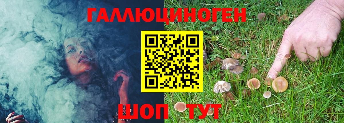 Псилоцибиновые грибы мухоморы  Псилоцибиновые грибы прущие грибы  Курганинск  Вход с VPN 